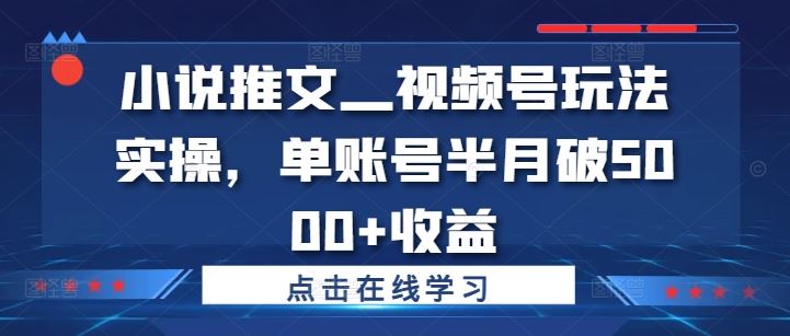 小说推文—视频号玩法实操，单账号半月破5000+收益-壹浩聊项目