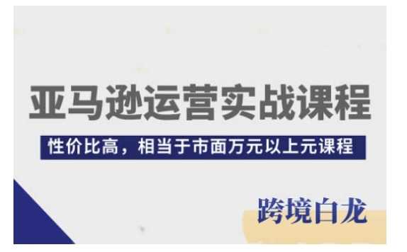 亚马逊运营实战课程,亚马逊从入门到精通,性价比高,相当于市面万元以上元课程-壹浩聊项目