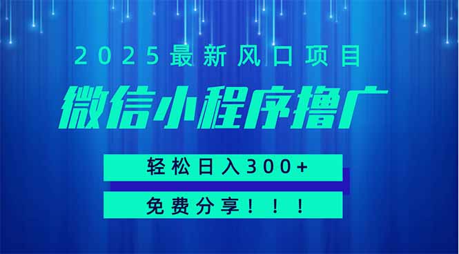 微信小程序撸广，最新风口项目，日入300+ 免费分享 可批量操作 小白可…-壹浩聊项目