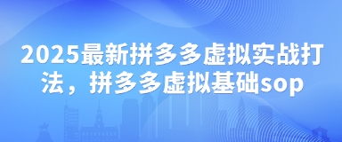 2025最新拼多多虚拟实战打法，拼多多虚拟基础sop-壹浩聊项目
