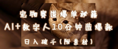 宠物赛道爆单秘籍：AI+数字人10分钟造爆款，日入1k-壹浩聊项目