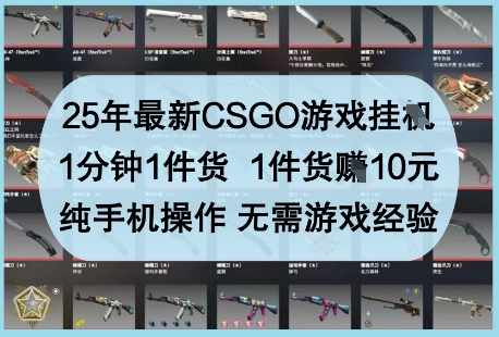 25年最新CSGO游戏挂G，1分钟1件货，1件货挣10元，纯手机操作，无需游戏经验【揭秘】-壹浩聊项目