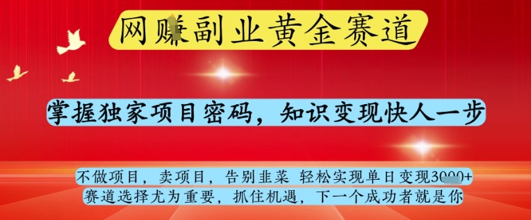 网创副业黄全赛道，掌握独家项目密码，知识变现快人一步，告别韭菜轻松实现单日变现1k+【揭秘】-壹浩聊项目