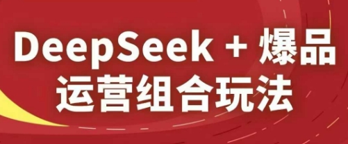 DeepSeek+爆品运营组合玩法，2025淘系精品课-壹浩聊项目