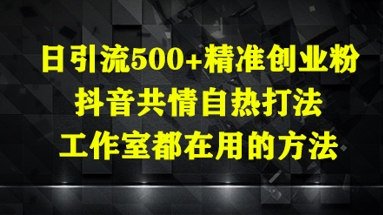 日引流500+精准创业粉，抖音共情自热打法，工作室都在用的方法-壹浩聊项目