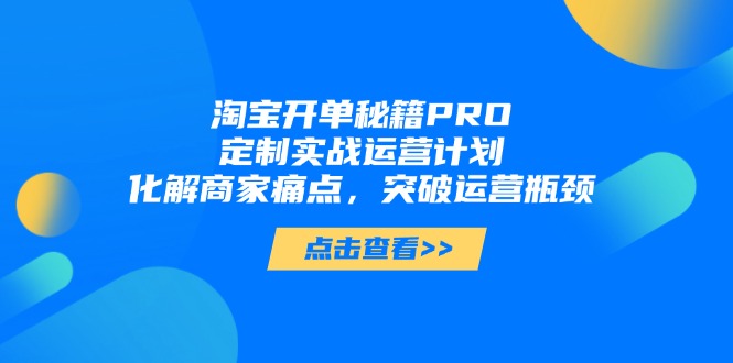 淘宝开单秘籍PRO，定制实战运营计划，化解商家痛点，突破运营瓶颈-壹浩聊项目