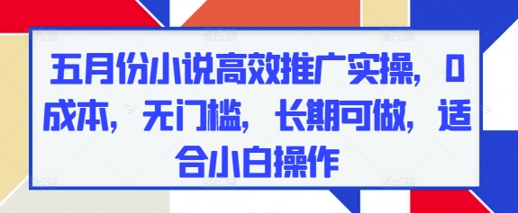 五月份小说高效推广实操，0成本，无门槛，长期可做，适合小白操作-壹浩聊项目