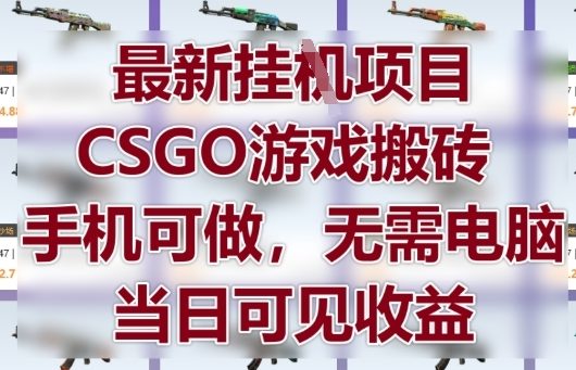 最新挂G项目，CSGO游戏搬砖，手机可做，无需电脑，当日见收益【揭秘】-壹浩聊项目