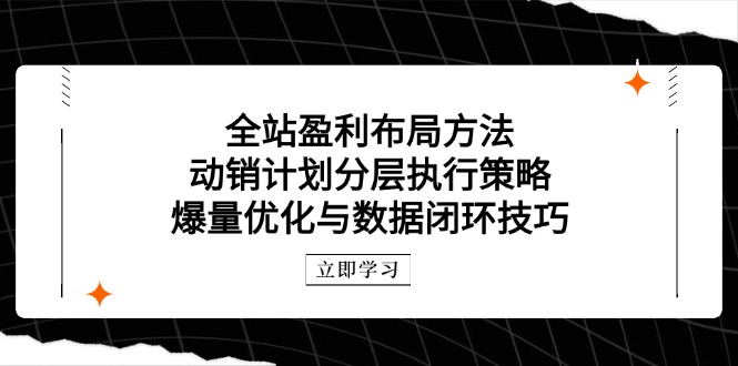 全站盈利布局方法：动销计划分层执行策略，爆量优化与数据闭环技巧-壹浩聊项目