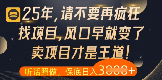 什么？25年你还在疯狂找项目做，醒醒吧，看完这些你全都懂了【揭秘】-壹浩聊项目