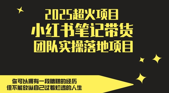2025超火项目，副业最佳选择，小红书笔记带货团队实操落地项目，，轻松日入5张-壹浩聊项目