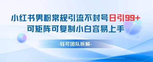 小红书男粉常规引流不封号日引99+变现简单 可矩阵可复制小白容易上手-壹浩聊项目