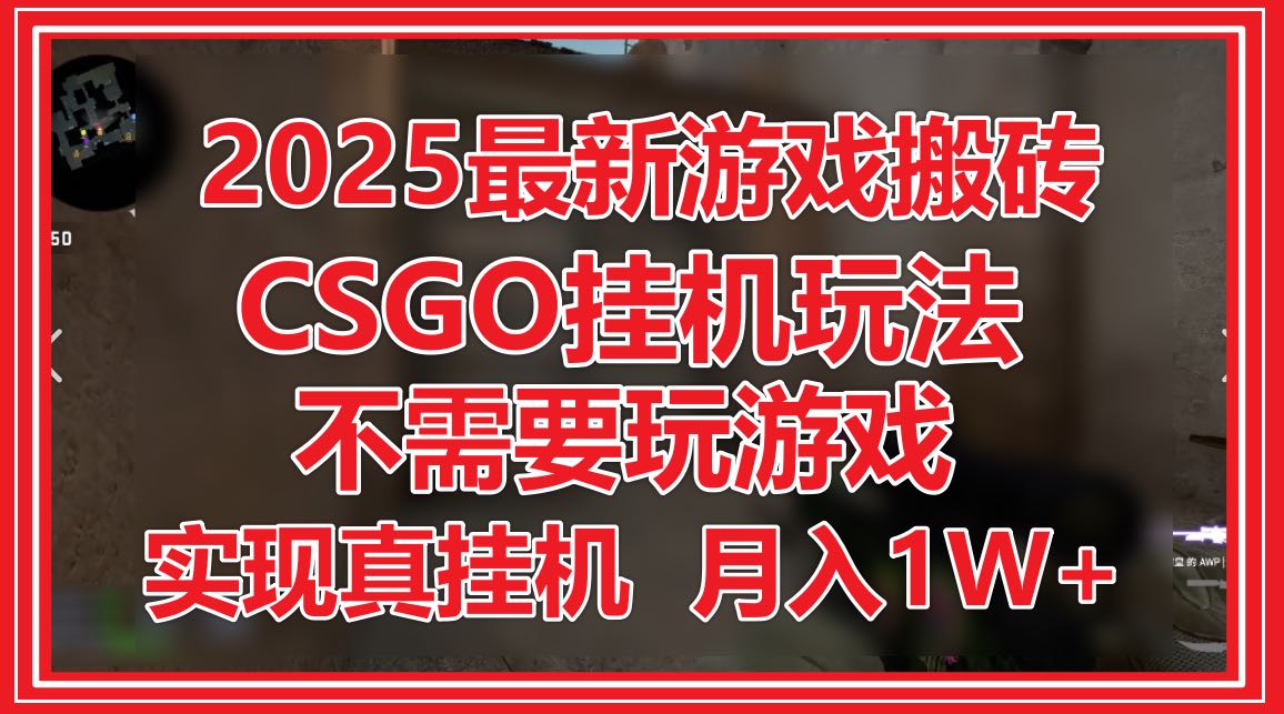 2025最新游戏搬砖，CSGO挂机，不需要玩游戏，实现真挂机，月入1W+-壹浩聊项目