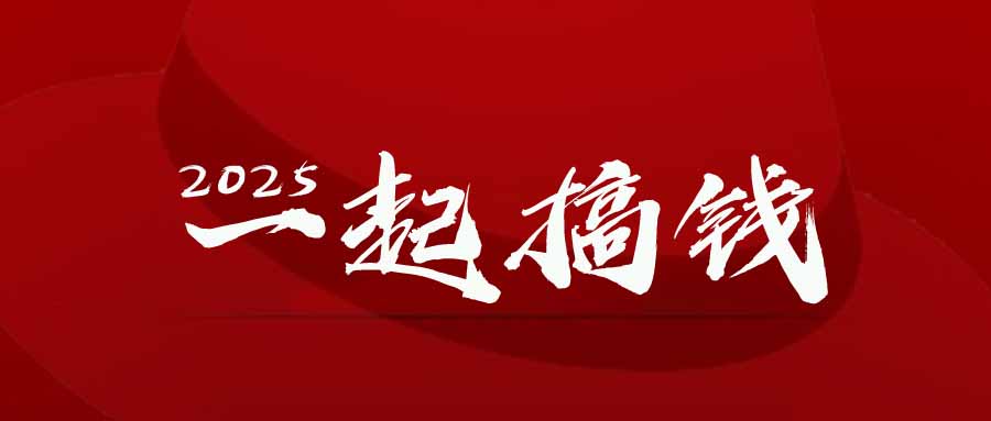 2025年，请“不择手段”去搞钱!-壹浩聊项目