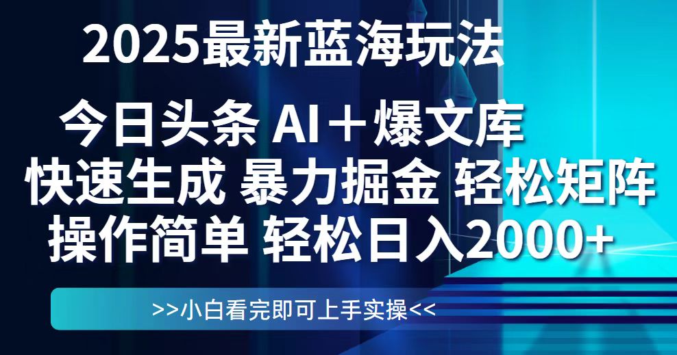 今日头条2025最新蓝海玩法，思路简单，复制粘贴，轻松实现矩阵日入2000+-壹浩聊项目
