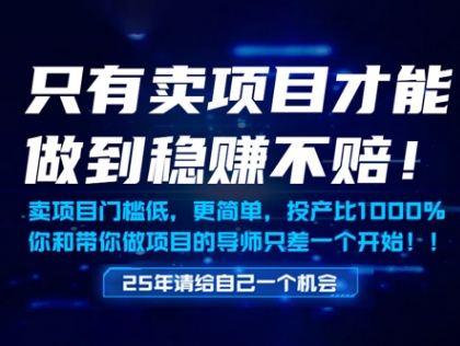 只有卖项目才能做到稳挣不赔，门槛低，更简单，你也可以年入百个W【揭秘】-壹浩聊项目