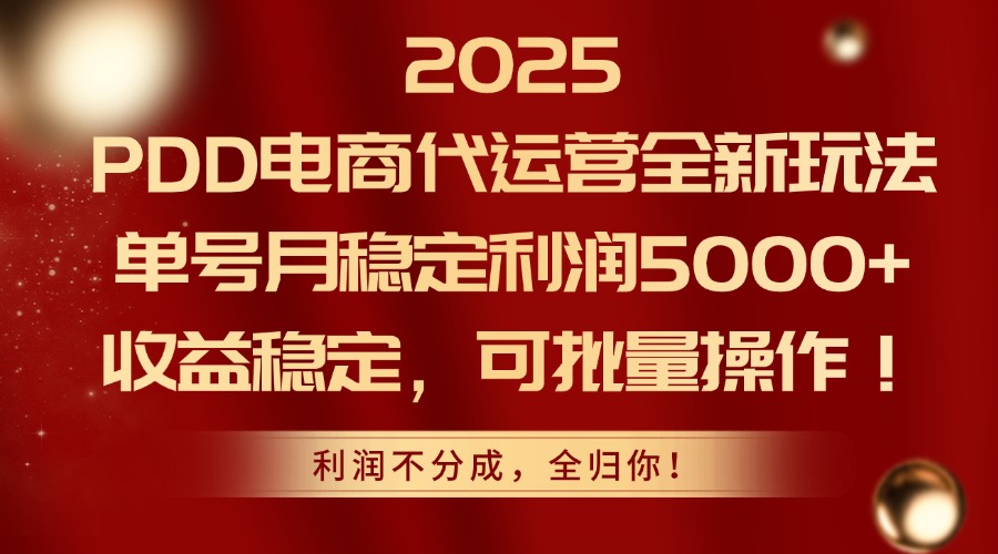 2025PDD电商代运营全新玩法，单号月稳定利润5000+，收益稳定，可批量操作-壹浩聊项目