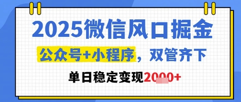 2025微信风口掘金，公众号+小程序双管齐下，单日稳定变现1k+【揭秘】-壹浩聊项目