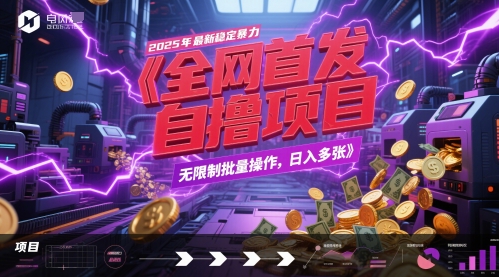 全网首发，2025年最新稳定暴力全自动自撸项目，无限制批量操作，日入多张【揭秘】-壹浩聊项目