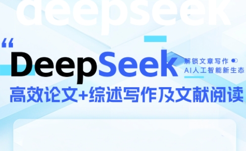 DeepSeek论文写作实战营-壹浩聊项目