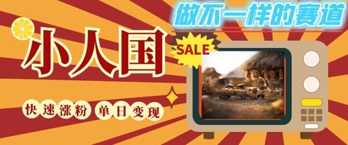 DeepSeek+绘图+视频制作小人国微观视频，小白轻轻松松上手，条条爆款，条条变现，单日就能收益-壹浩聊项目