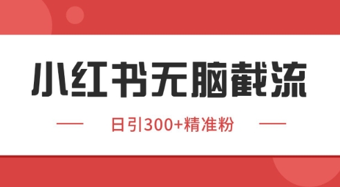 小红书截流同行客源，独家野路子获客玩法 日引200+暴力获客【揭秘】-壹浩聊项目