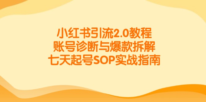 小红书引流2.0教程，账号诊断与爆款拆解，七天起号SOP实战指南-壹浩聊项目