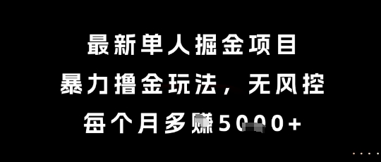 最新单人掘金项目，暴力撸金玩法，无风控，每个月多挣5k+【揭秘】-壹浩聊项目