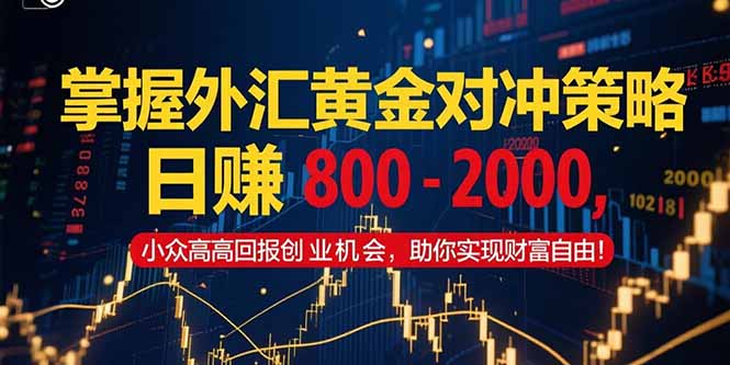 掌握外汇黄金对冲策略，日赚 800 – 2000，小众高回报创业机会，助你实…-壹浩聊项目
