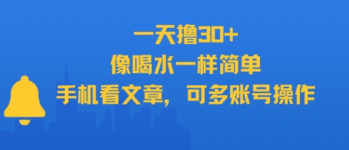 一天撸30+，像喝水一样简单，手机看文章，可多账号操作-壹浩聊项目