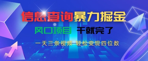 信息查询暴力掘金，一天三条视频，轻松变现四位数，风口项目干就完了【揭秘】-壹浩聊项目