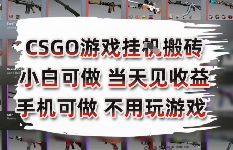 CSGO游戏挂G搬砖，小白纯手机即可操作，不用电脑打游戏，日入3张+，副业网创项目【揭秘】-壹浩聊项目