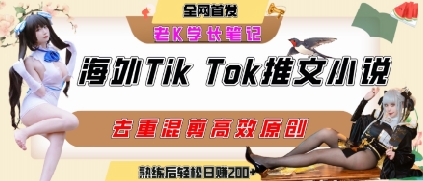 海外tiktok小说推文暴力项目，高停留率，高转化率，上手后一天搞顿饭钱不是问题-壹浩聊项目