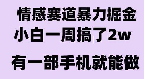 情感暴力掘金项目，新人操作一周挣了2W，长期稳定小白可做【揭秘】-壹浩聊项目