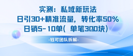 实测私域新玩法日引30加精准流量转化率50%日销5-10单每笔3张-壹浩聊项目