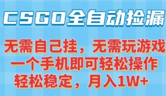 CSGO自动捡漏项目，最新独家玩法，一个手机可操作，新手小白轻松月入1W+，操作简单易上手【揭秘】-壹浩聊项目
