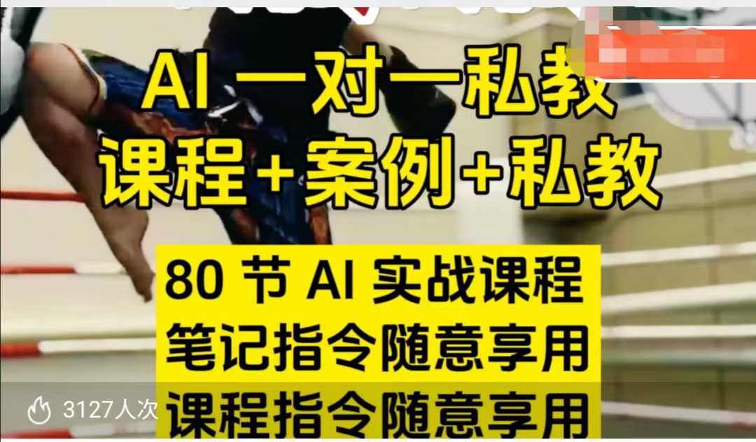 AI指令实战课，课程+案例，80节AI实战课程，笔记指令随意享用，课程指令随意享用(更新7月)-壹浩聊项目