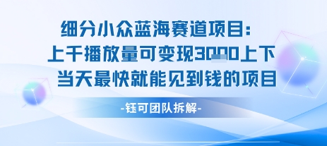 小众蓝海赛道项目：当天变现1k+适合新手操作 +适合长期玩-壹浩聊项目