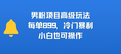 男粉项目高级玩法，每单899，冷门暴利，小白也可操作-壹浩聊项目