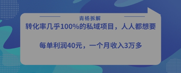 转化率最高的私域项目，每单利润40-50米，月入过1w-壹浩聊项目