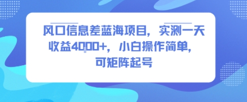 风口信息差蓝海项目，实测一天收益4k+，小白操作简单，可矩阵起号-壹浩聊项目