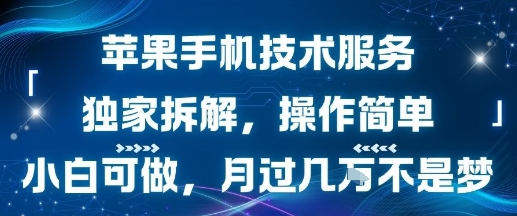 苹果手机技术服务，独家拆解，操作简单，小白可做，月过1W不是梦-壹浩聊项目