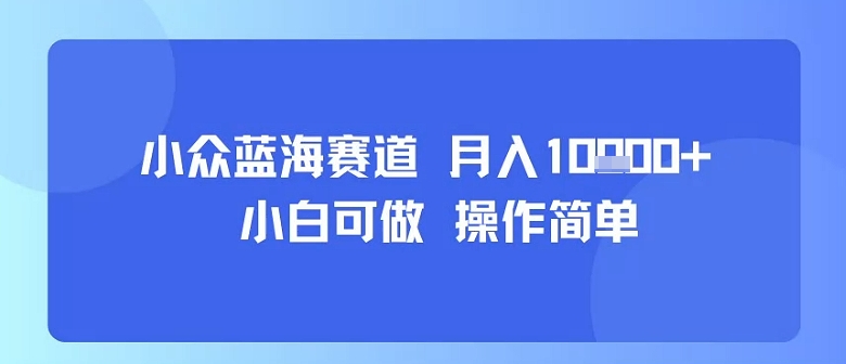 小众蓝海赛道，小白可做，操作简单，每天30分钟，月入1W+-壹浩聊项目
