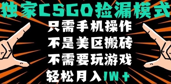 CSGO自动捡漏项目，最新独家玩法，不是美区搬砖，不需要了解和玩游戏，新手小白轻松月入1W+【揭秘】-壹浩聊项目