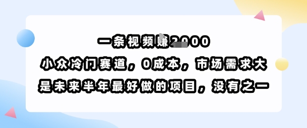 一条视频挣1k，小众冷门赛道，0成本，市场需求大，是未来半年最好做的项目，没有之一-壹浩聊项目