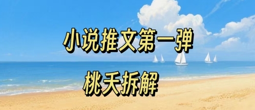 小说推文项目操作全流程第一弹，0粉就能做，门槛低非常适合新手-壹浩聊项目