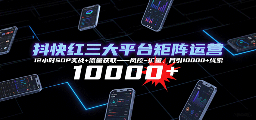 抖快红三大平台矩阵运营，12小时SOP实战+流量获取-风控-扩量，月引10000+线索-壹浩聊项目