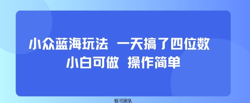 小众蓝海玩法 一天搞了四位数 小白可做 操作简单-壹浩聊项目
