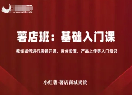 小红薯薯店商城卖货，基础入门课，教你如何进行店铺开通、后台设置、产品上传等入门知识-壹浩聊项目