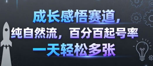 成长感悟赛道，纯自然流，百分百起号率 一天轻松多张-壹浩聊项目